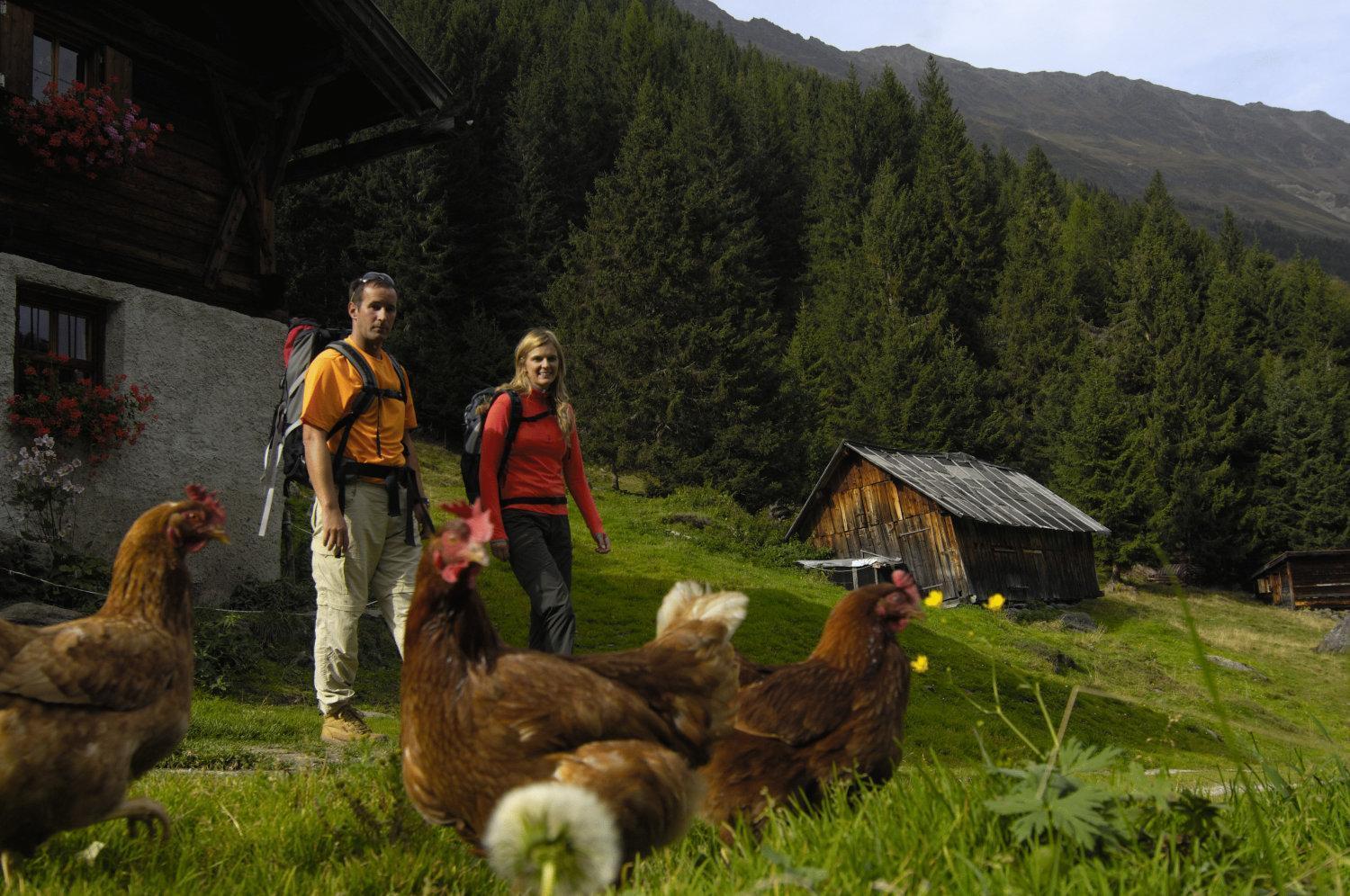 Aparthaus Camping Stubai Neustift im Stubaital Luaran gambar